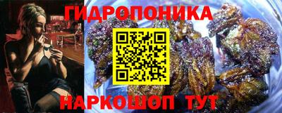 гашик Ликино-Дулёво